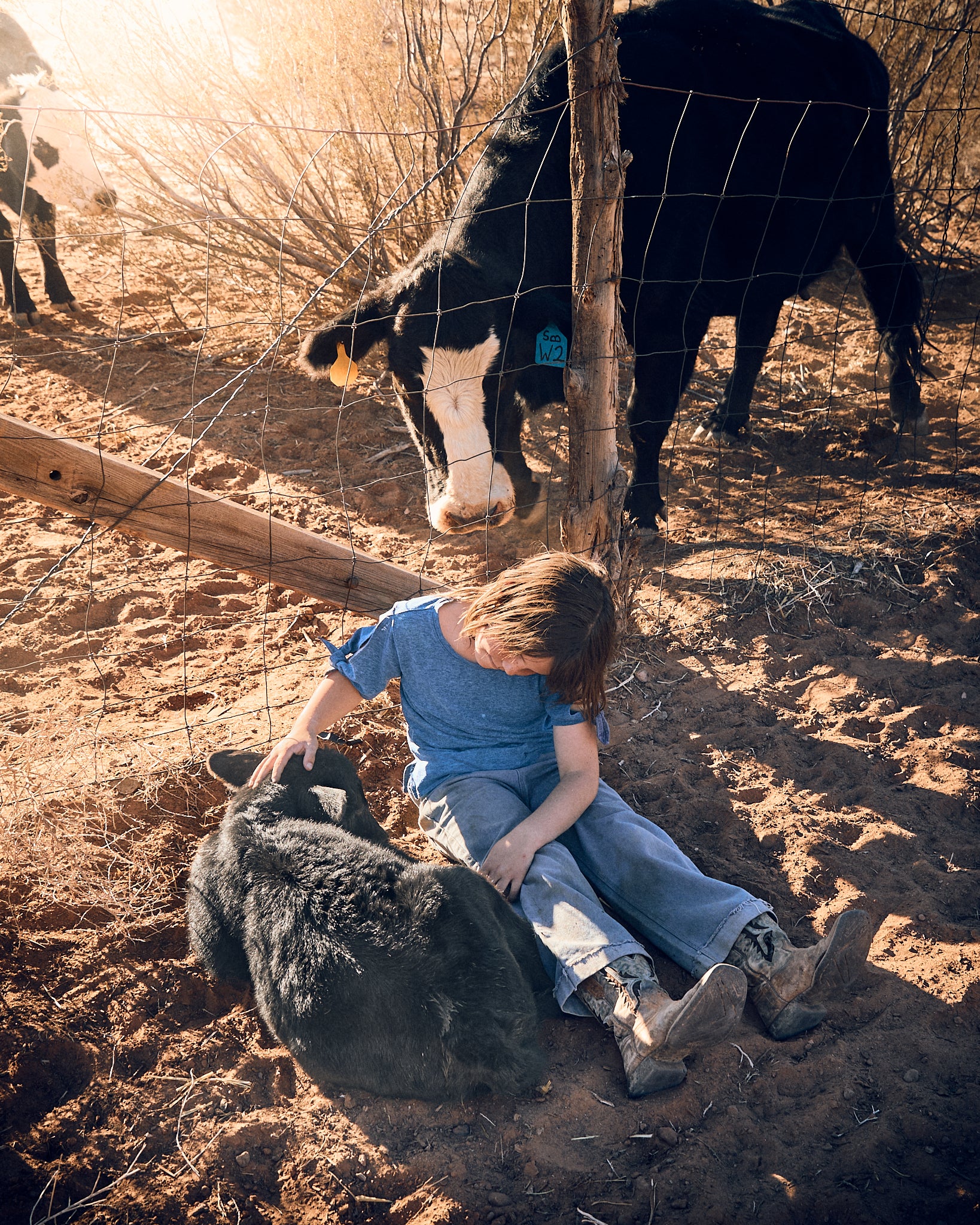 Tender Mercy - Limited Edition