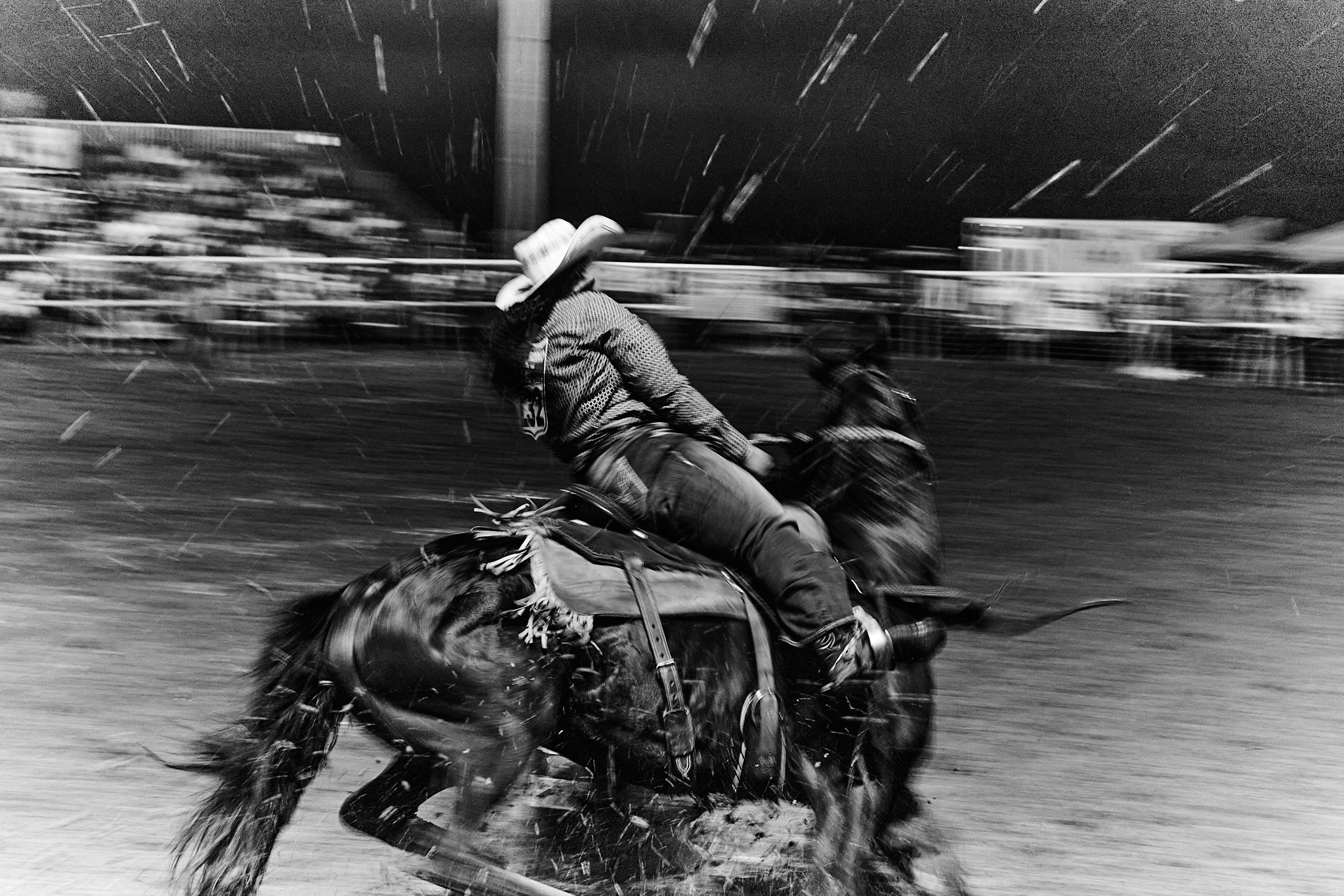 Just Like That, She's Gone - Limited Edition