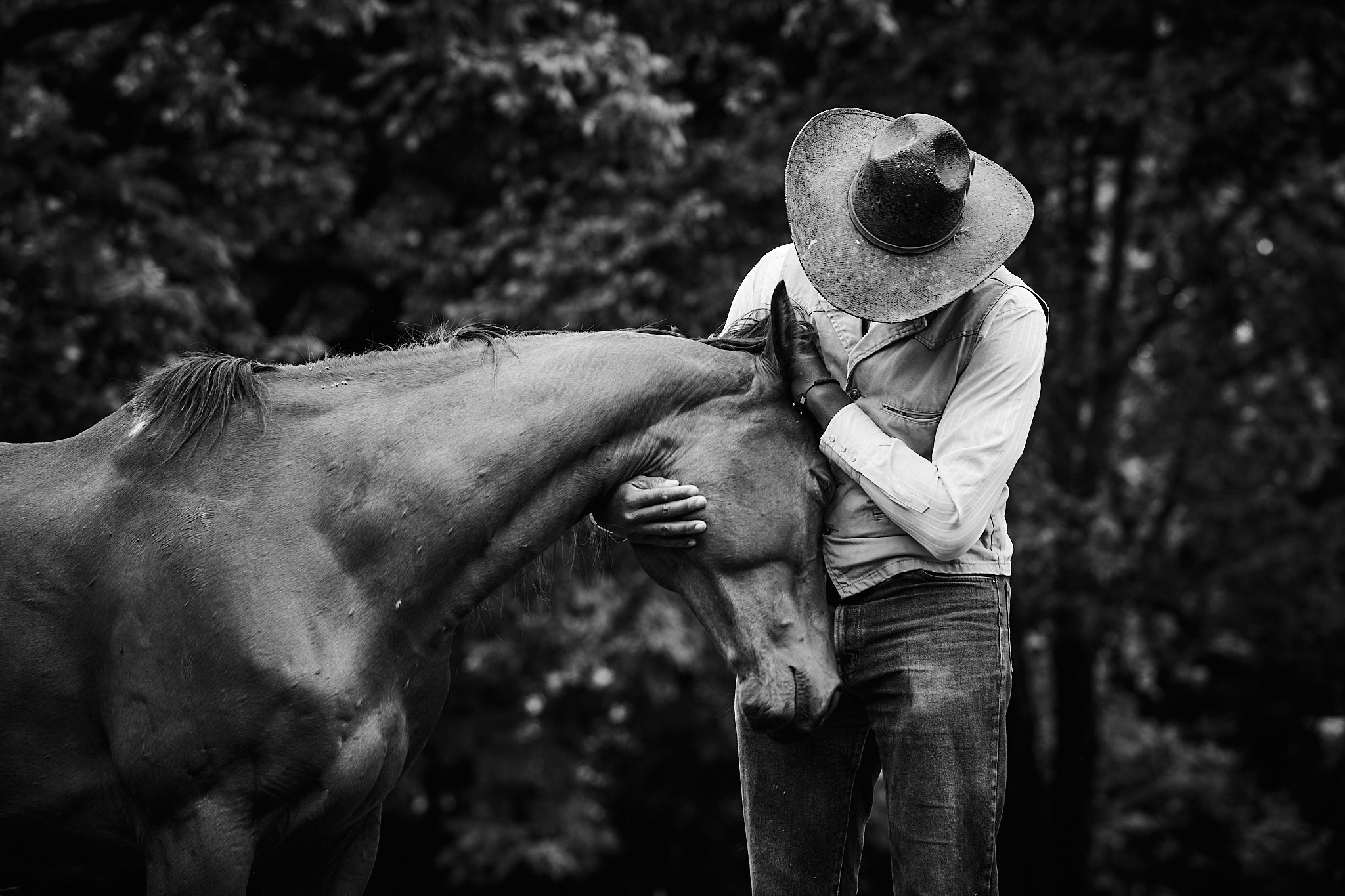 Solace - Limited Edition