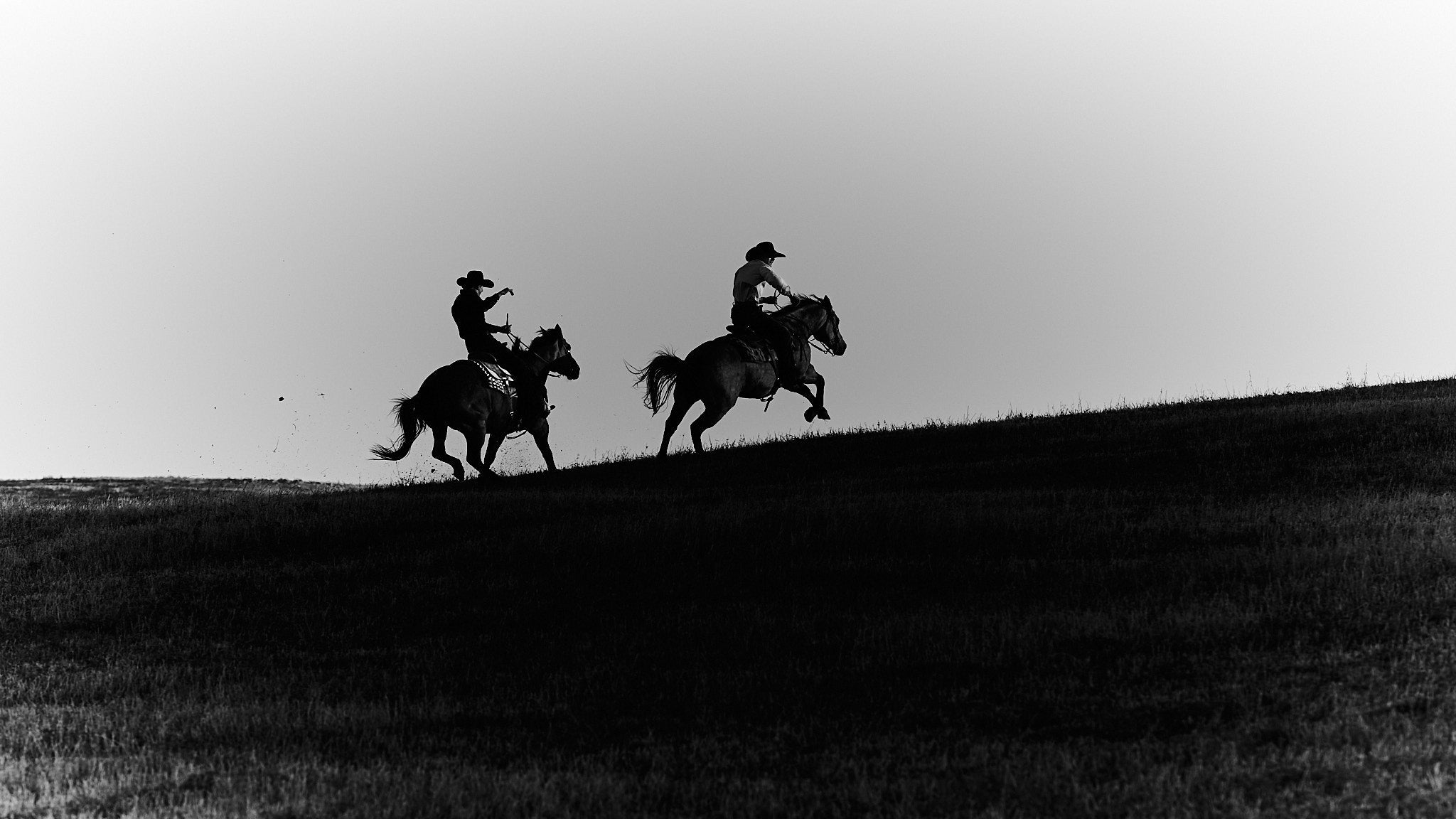 Two Desperados - Limited Edition